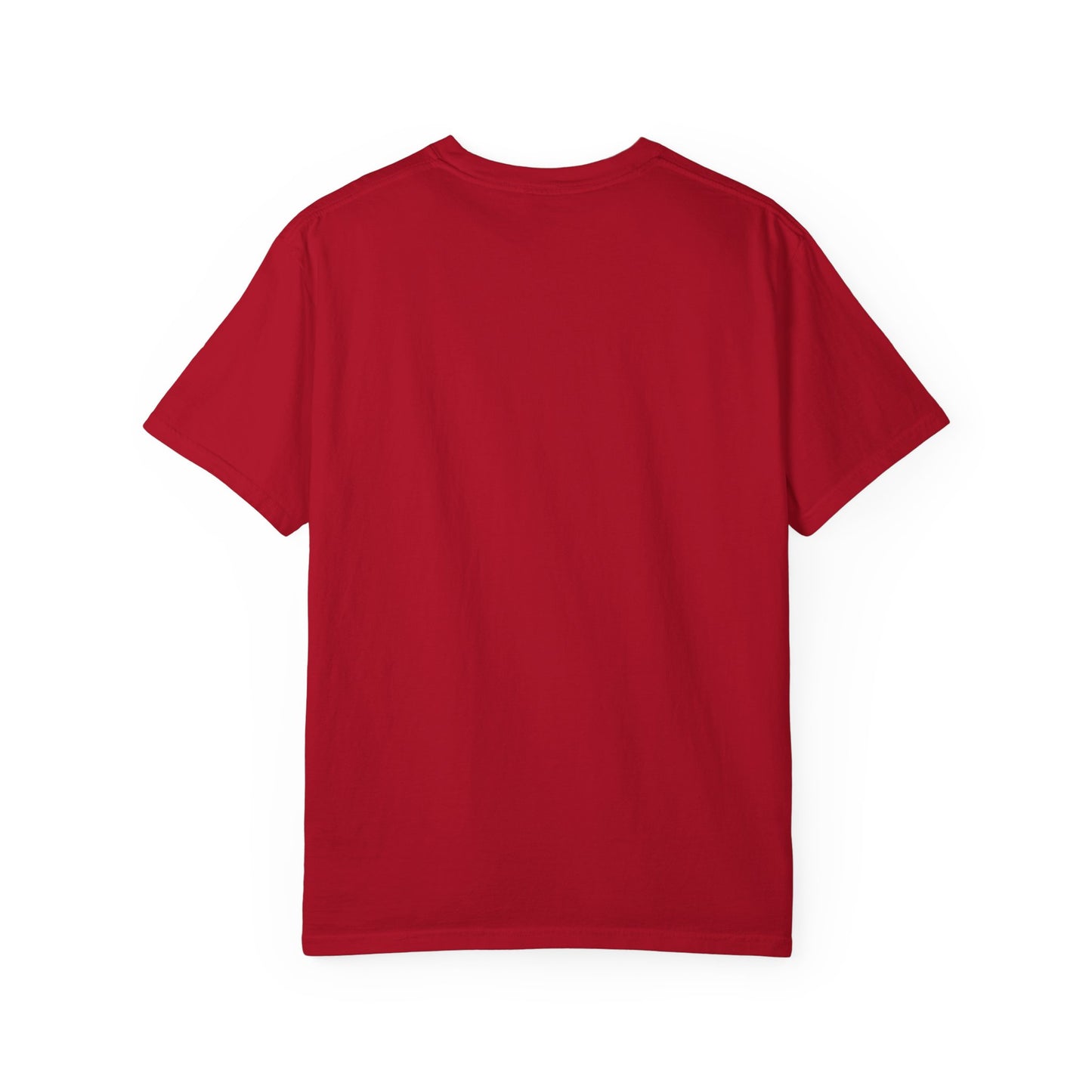 Pickleball Paddle And Ball Icon Tee Minimalist Pickler Unisex T-Shirt