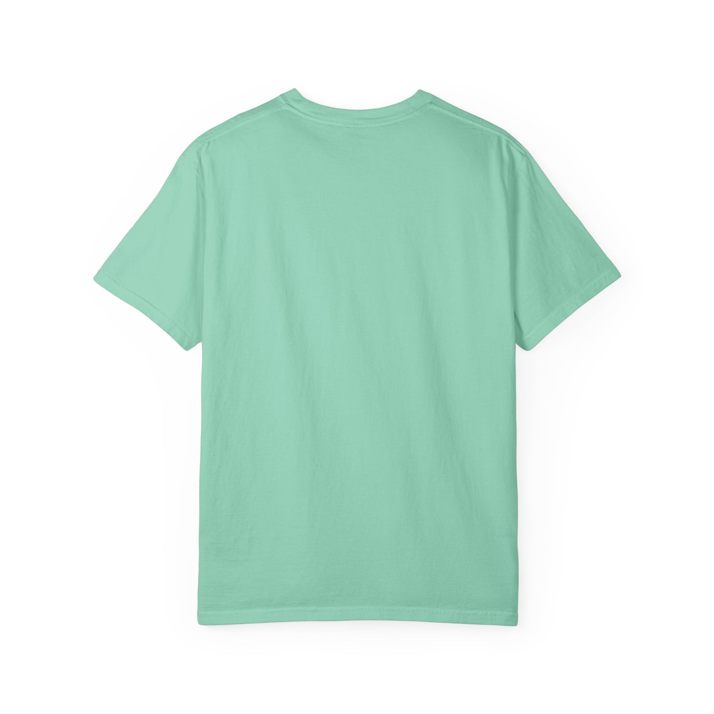 Pickleball Female Silhouette Icon Tee Minimalist Pickler Graphic Women T-Shirt