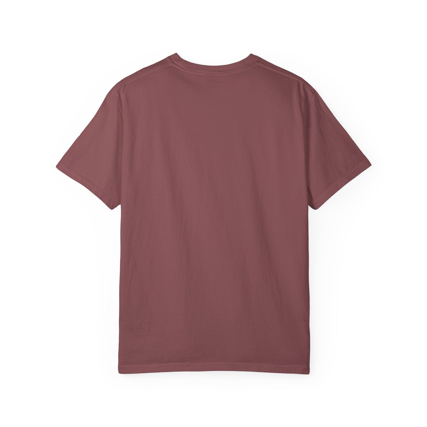 Pickleball Sun Badge Tee Pickler Vintage Minimalist Unisex Shirt