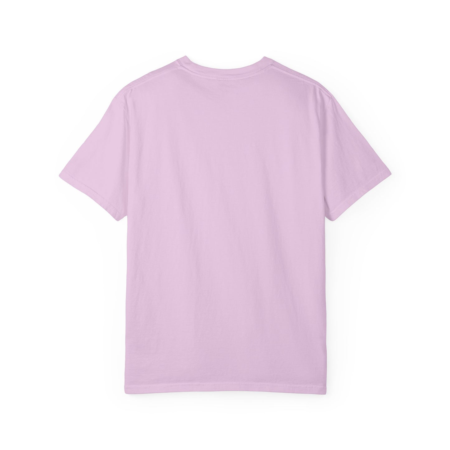 Pickleball Female Silhouette Icon Tee Minimalist Pickler Graphic Women T-Shirt
