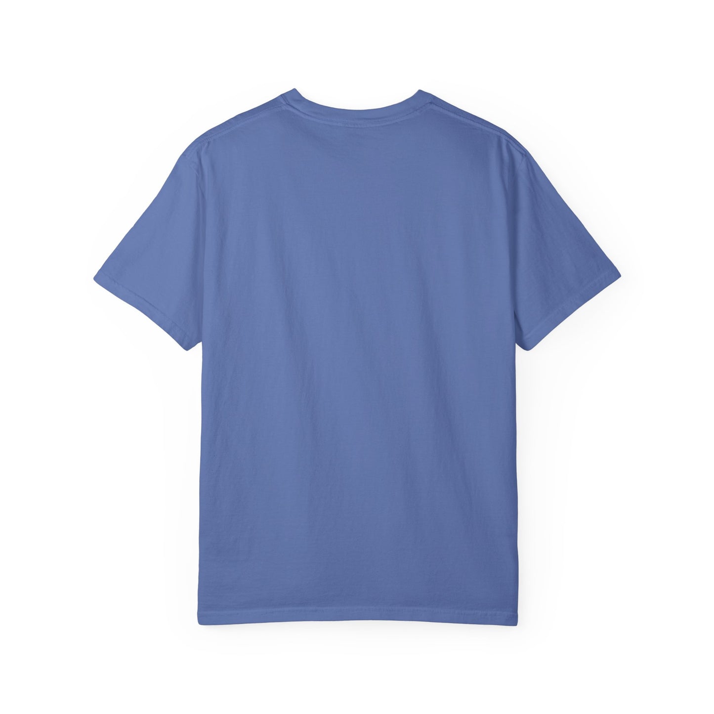 Pickleball Player Silhouette Tee Pickler Minimalist Men's Graphic Shirt