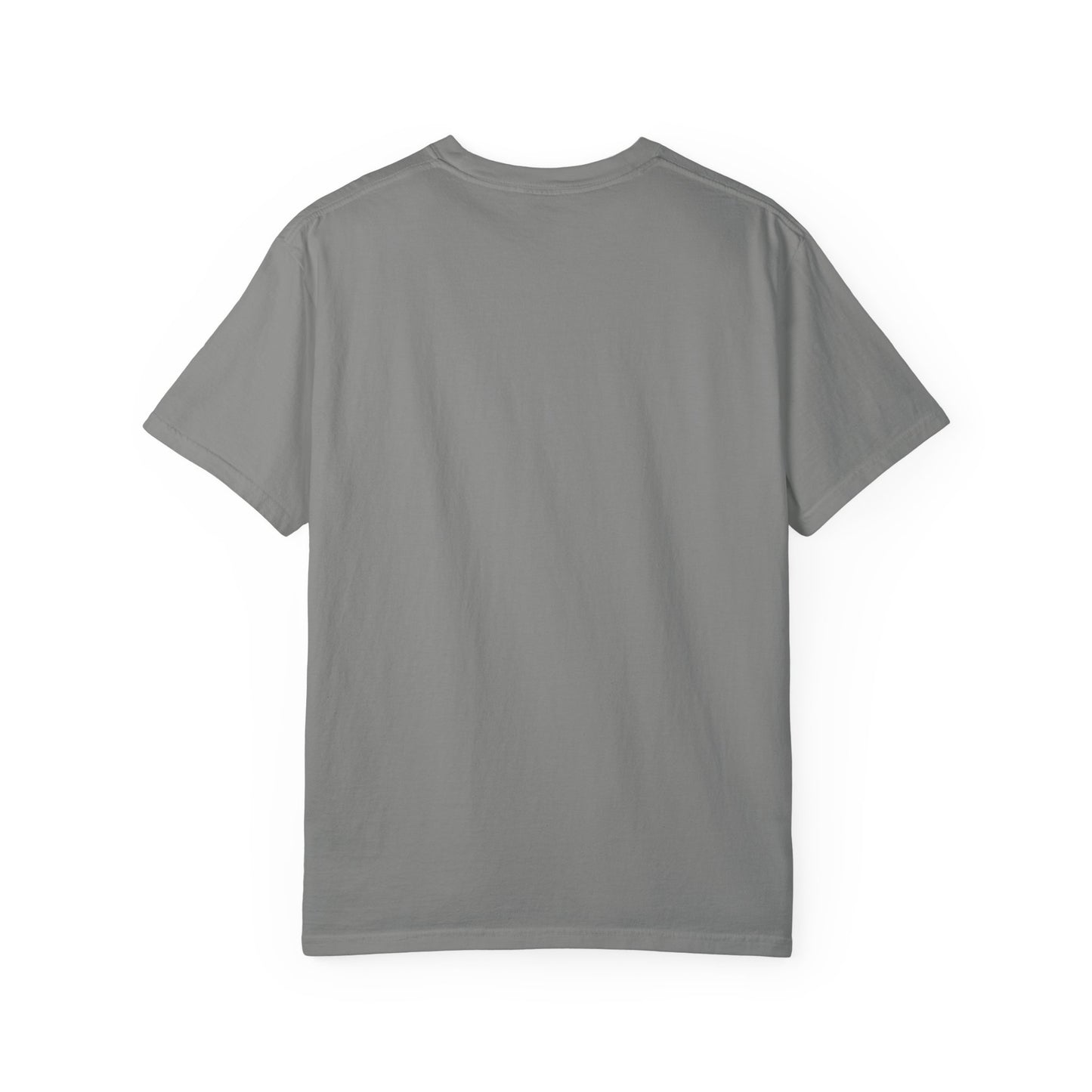 Pickleball Paddle And Ball Icon Tee Minimalist Pickler Unisex T-Shirt