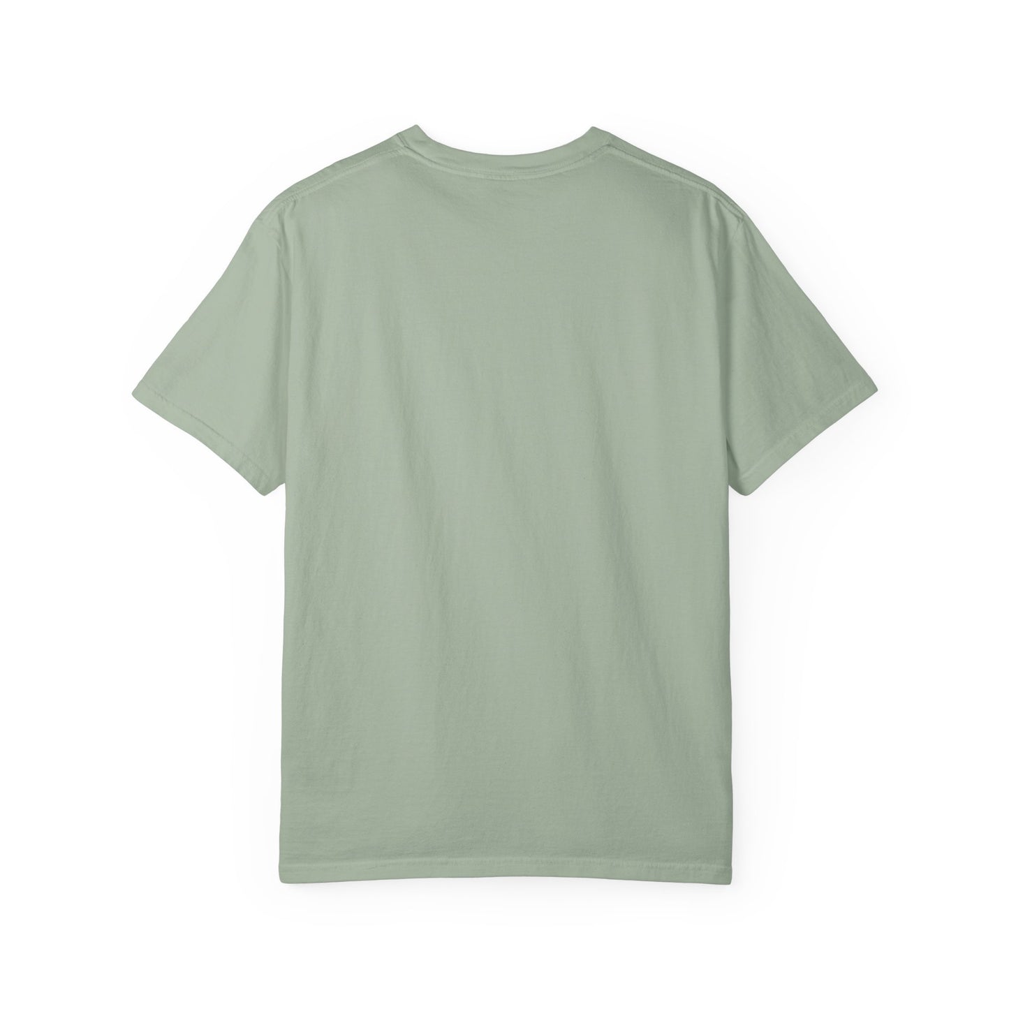Pickleball Player Silhouette Tee Pickler Minimalist Men's Graphic Shirt
