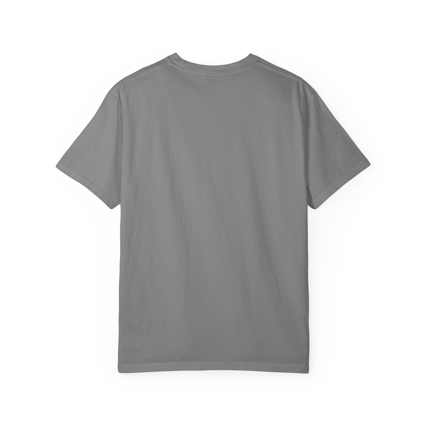 Pickleball Sun Badge Tee Pickler Vintage Minimalist Unisex Shirt