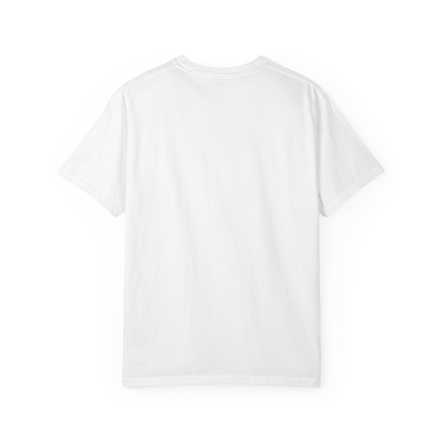 Pickleball Player Silhouette Tee Pickler Minimalist Men's Graphic Shirt