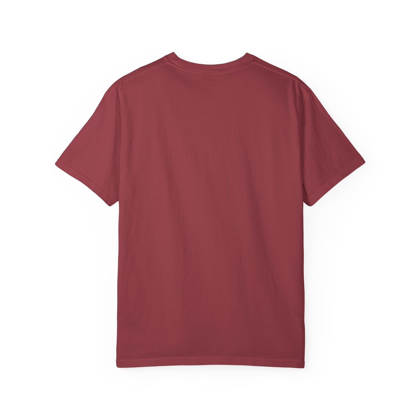 Pickleball Essentials Icon Tee Minimalist Pickler Sport Unisex Graphic Shirt