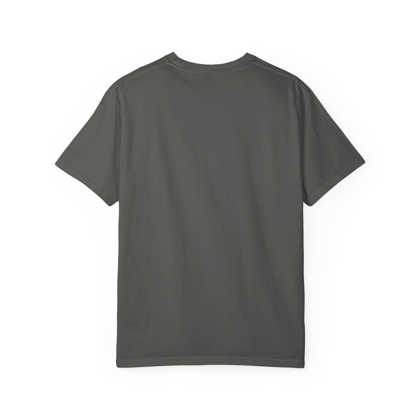Pickleball Essentials Icon Tee Minimalist Pickler Sport Unisex Graphic Shirt